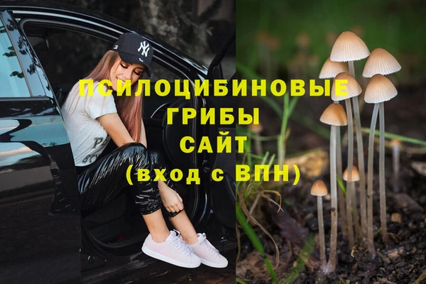 спиды Грязовец