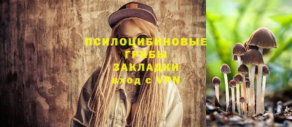 скорость mdpv Осинники