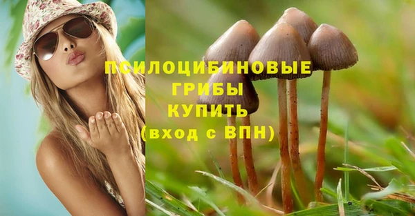 MDMA Новодвинск