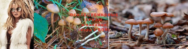 прущий лед Нягань