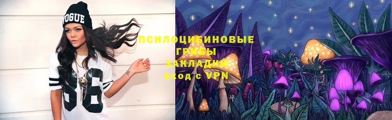 Галлюциногенные грибы Magic Shrooms  ОМГ ОМГ вход  Инза 